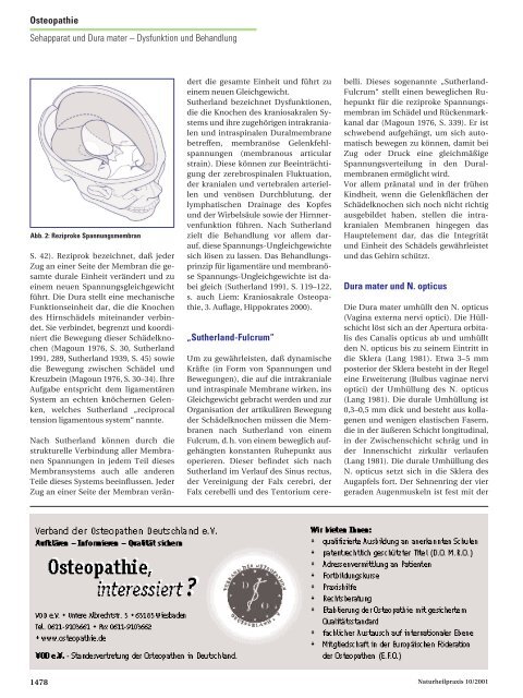 Sehapparat und Dura mater - Osteopathie-Schule Deutschland