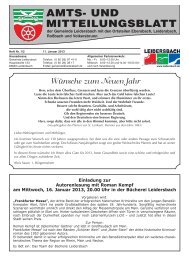 Amts- und Mitteilungsblatt 2013_01_11 - Leidersbach