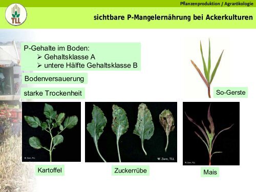 Düngung im Spannungsfeld von Pflanzenbedarf und Bodenzustand ...