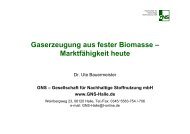 Gaserzeugung aus fester Biomasse – Marktfähigkeit heute