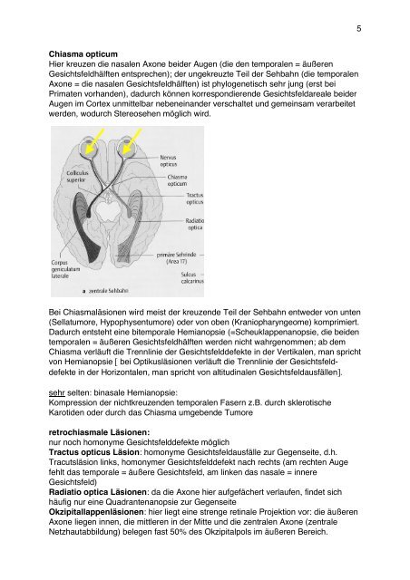 1 Neuroophthalmologie – Script von Dr. K. Hartmann, Orthoptik und ...
