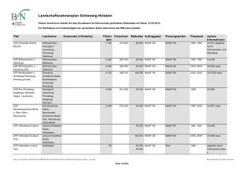 Landschaftsrahmenplan Schleswig-Holstein - Bundesamt für ...