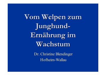 Ernährung und Erkrankungen beim Welpen und Junghund