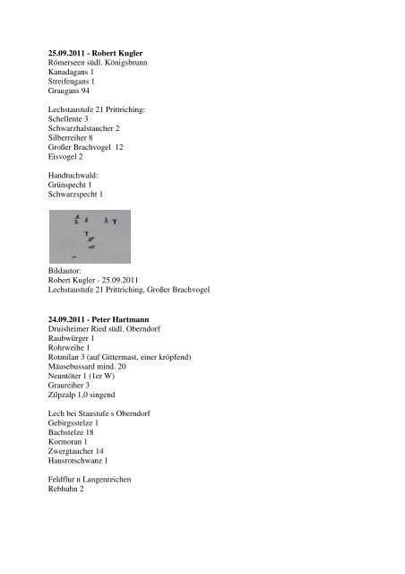 Aktuelle Beobachtungen 3. Quartal 2011