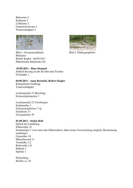 Aktuelle Beobachtungen 3. Quartal 2011