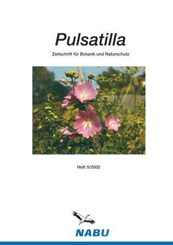 Pulsatilla - Nabu