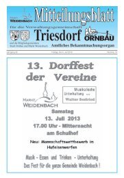 Mitteilungsblatt Nr. 14 vom 05.07.2013 - Markt Weidenbach