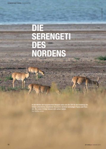 DIE SERENGETI DES NORDENS - Zoologische Gesellschaft Frankfurt