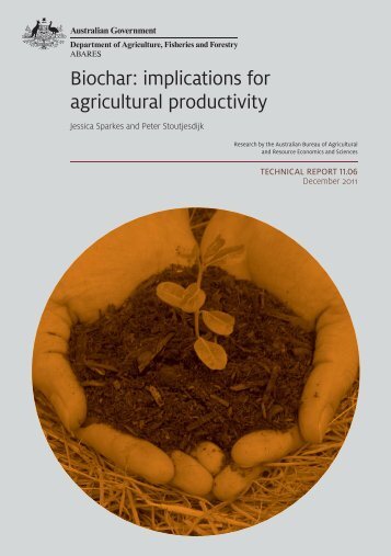 Biochar: implications for agricultural productivity - Australian Natural ...