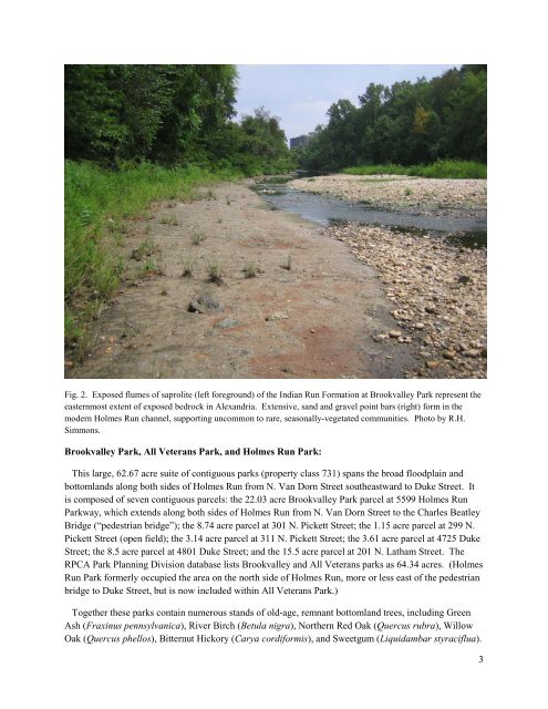 Remnant Natural Areas in Parks, Waterways ... - City of Alexandria