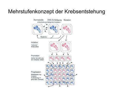 Teil 4