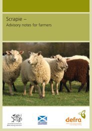 Scrapie – Advisory notes for farmers - ARCHIVE: Defra