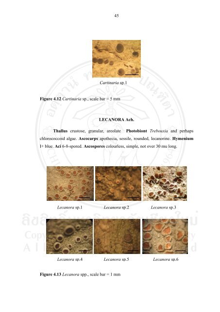 34 CHAPTER 4 RESULTS 4.1 Lichen diversity Epiphytic lichens ...