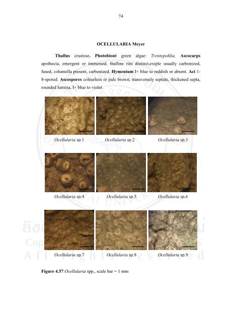 34 CHAPTER 4 RESULTS 4.1 Lichen diversity Epiphytic lichens ...