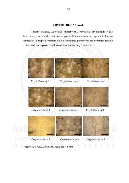 34 CHAPTER 4 RESULTS 4.1 Lichen diversity Epiphytic lichens ...