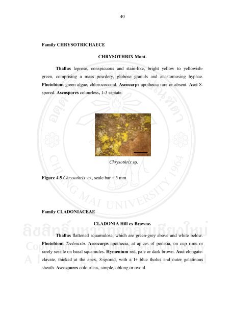 34 CHAPTER 4 RESULTS 4.1 Lichen diversity Epiphytic lichens ...