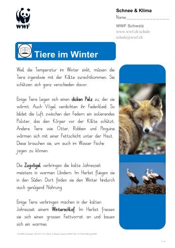 Tiere im Winter - WWF Schweiz