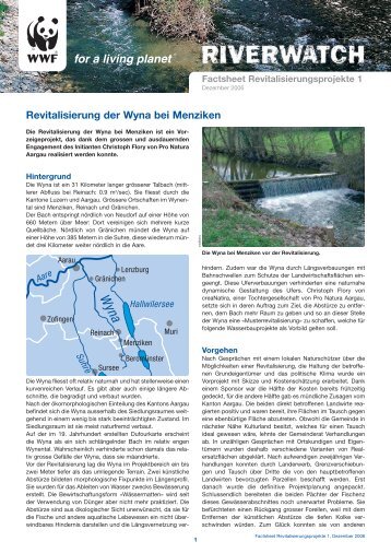 Revitalisierung der Wyna bei Menziken - WWF Schweiz