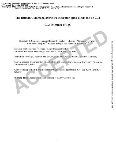 The Human Cytomegalovirus Fc Receptor gp68 Binds the Fc CH2 ...