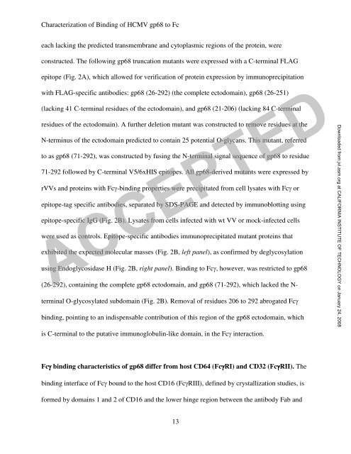 The Human Cytomegalovirus Fc Receptor gp68 Binds the Fc CH2 ...