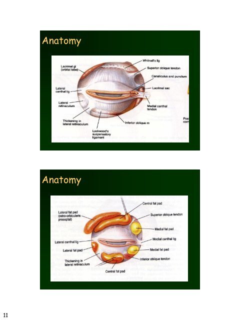 Eyelid Reconstruction