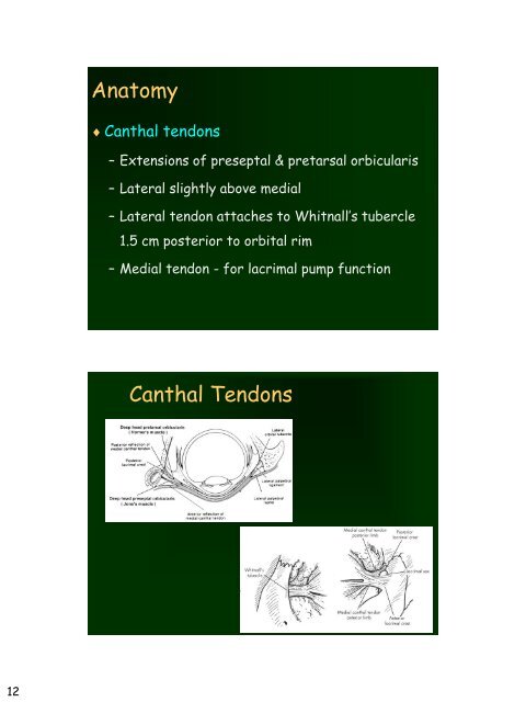 Eyelid Reconstruction