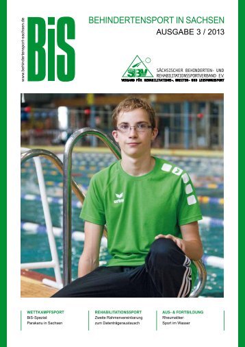 Download BiS Nr. 2013/3 - Sächsischer Behinderten