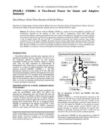 DNAM-1 (CD226): A Two-Sword Fencer for ... - Bentham Science