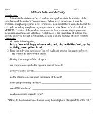 cell cycle and mitosis internet lesson_updated