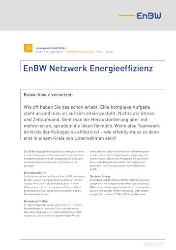 EnBW Netzwerk Energieeffizienz (53 kB ) PDF