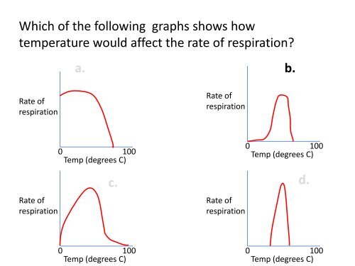 Respiration quiz pdf
