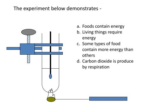 Respiration quiz pdf