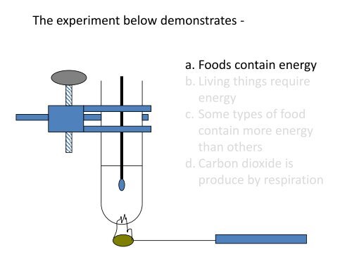 Respiration quiz pdf