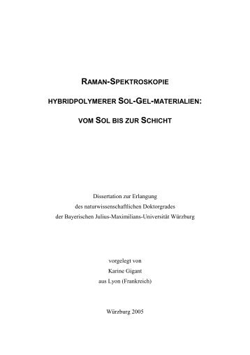 RAMAN-SPEKTROSKOPIE HYBRIDPOLYMERER - OPUS ...