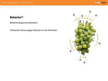 Produktpräsentation Botector - bio-ferm