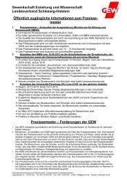 Informationsblatt der GEW zum Praxissemester - GEW Schleswig ...