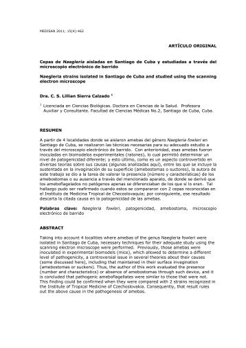 Cepas de Naegleria aisladas en santiago de Cuba y estudiadas a ...