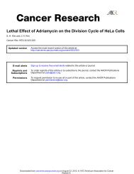 Lethal Effect of Adriamycin on the Division Cycle ... - Cancer Research