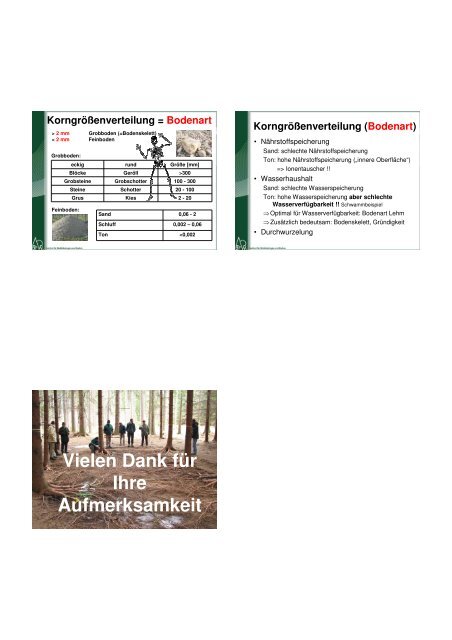 Bodenkundliche Grundlagen - BFW