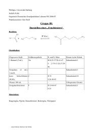 Gruppe 08: Darstellen eines „Fruchtesters“ - ChidS