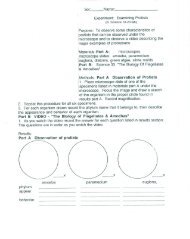 10.20.lab-ExamProtis.. - Circle