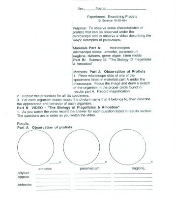 10.20.lab-ExamProtis.. - Circle