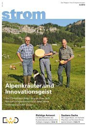 3/2013 - Elektrizitätswerk Obwalden