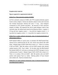 Tsuji et. al. amniotic membrane-derived stem cell (2009/205260-R3 ...