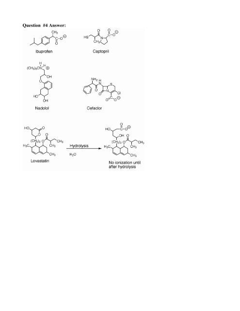 Chptr2_QUEST_Answers..