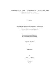 Angela Calloway Thesis 2013.pdf