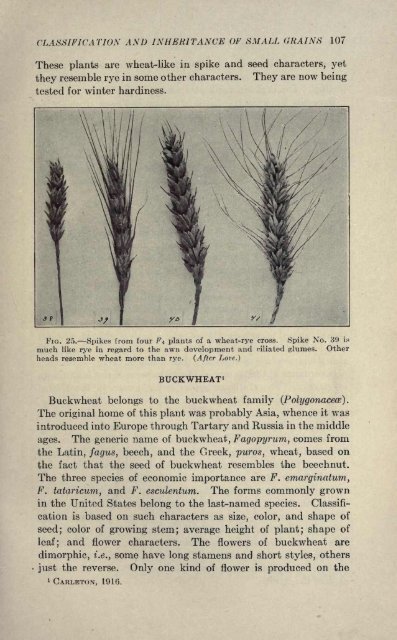 Hayes and Garber - Cucurbit Breeding