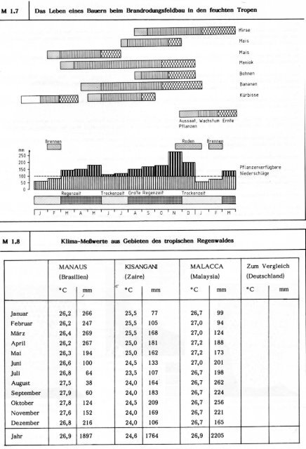 Wanderfeldbauem berichten M 1.5 Brandrodungswanderfeldbau in ...