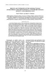 Molecular Systematics of the Gonodactylidae ... - AToL Decapoda