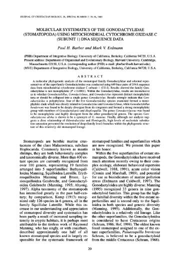 Molecular Systematics of the Gonodactylidae ... - AToL Decapoda
